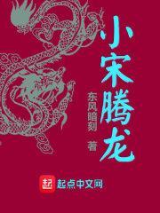 大宋龙腾 大宋龙腾